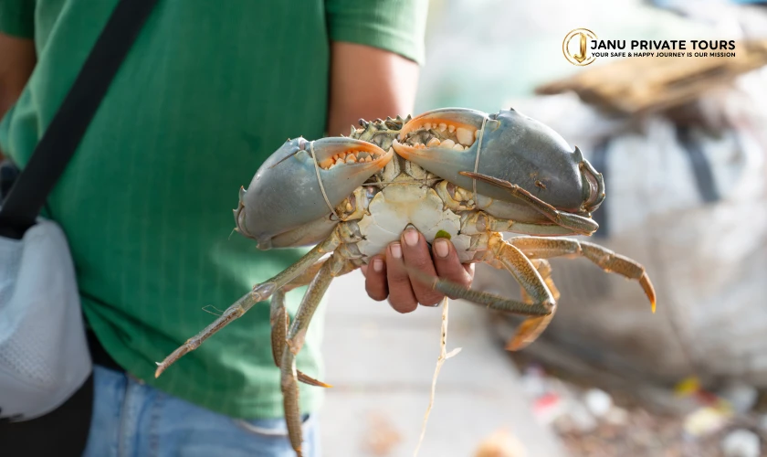kochi-food-tour 5