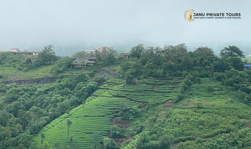 kochi-kumarakom-kovalam-trivandrum-tour-2