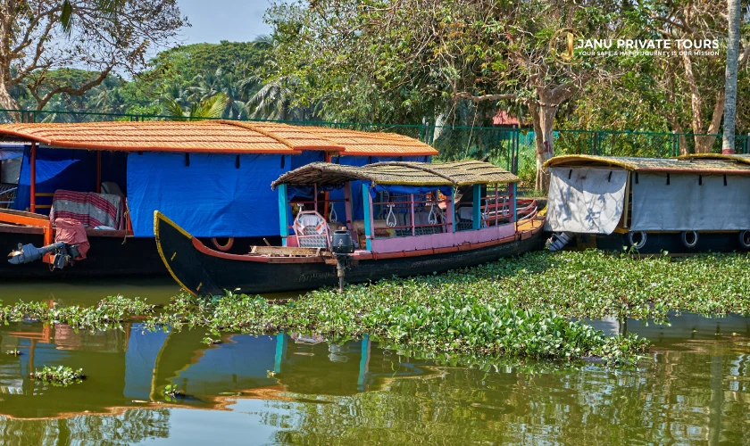 kochi-kumarakom-kovalam-trivandrum-tour-5