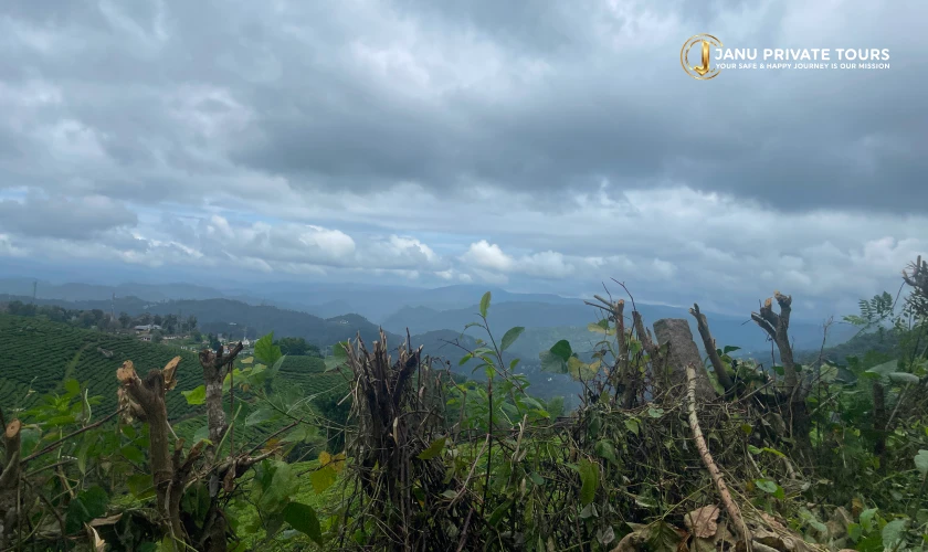 kochi-munnar-thekkady-kumarakom-tour-4