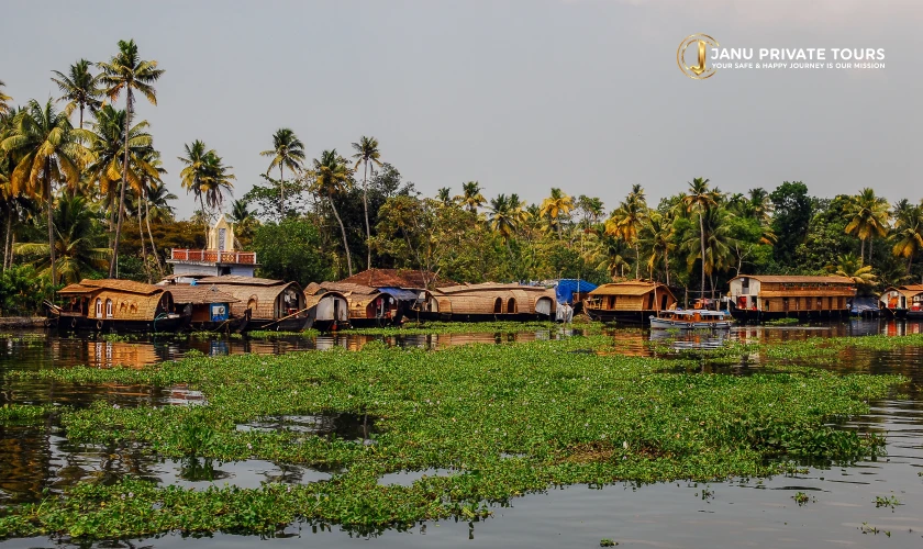kochi-munnar-thekkady-kumarakom-tour-5