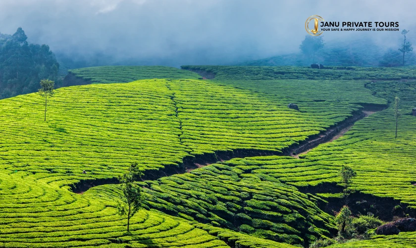 luxury-golden-triangle-with-kerala-tour-1