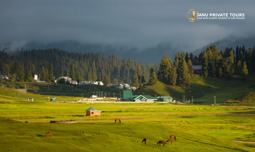majestic-ladakh-kashmir-tour-5
