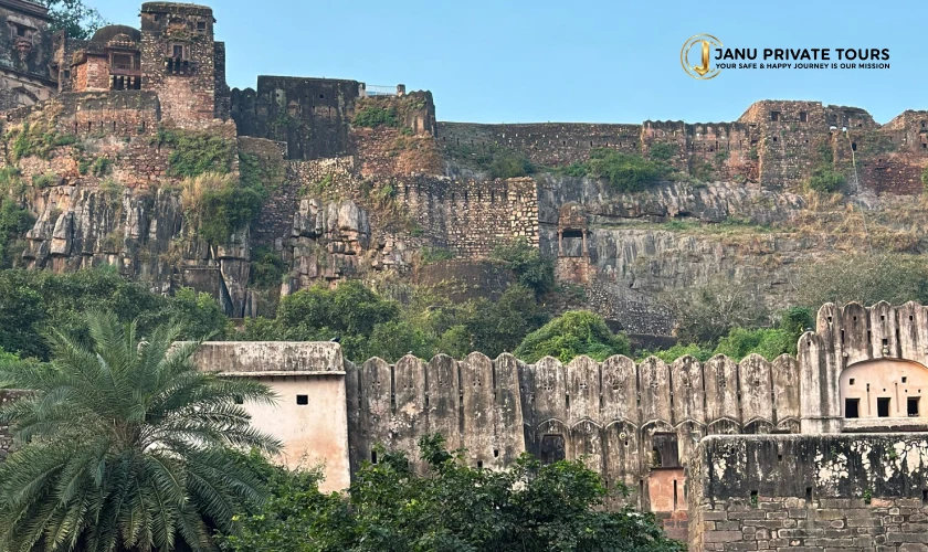 rajasthan-heritage-and-tiger-safari-tour-3