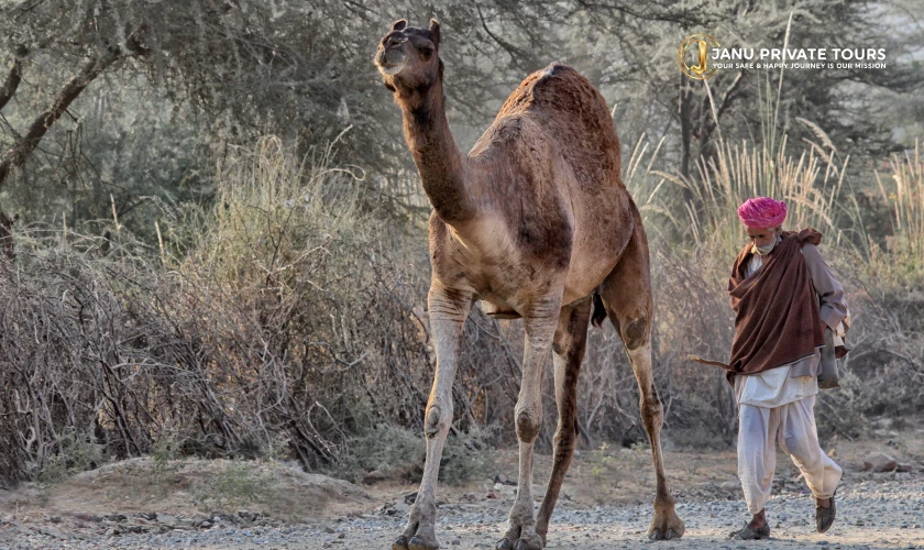 rajasthan-offbeat-village-tour-3