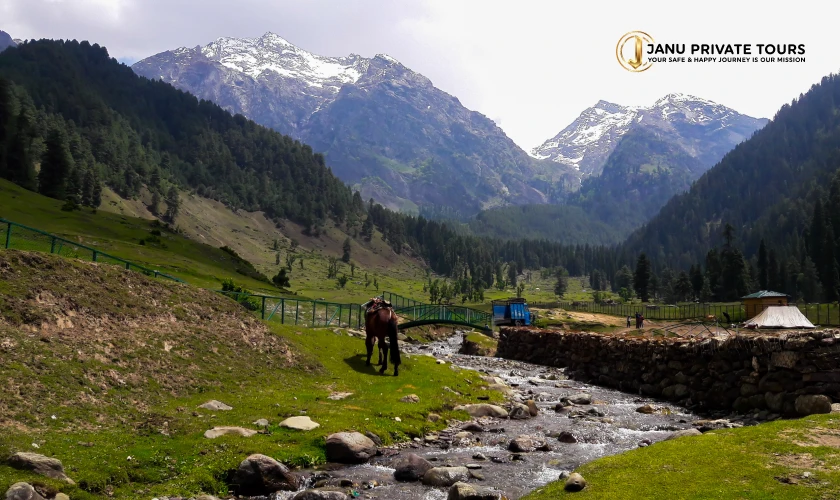 kashmir-tour-9-nights-10-days-3
